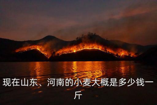 現(xiàn)在的小麥價格多少錢一斤淄博,小麥價格現(xiàn)在多少錢一斤