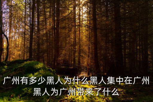 廣州有多少黑人為什么黑人集中在廣州黑人為廣州帶來了什么