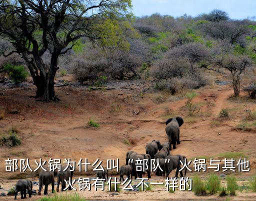 部隊(duì)火鍋廣州哪里有,部隊(duì)火鍋為什么叫部隊(duì)火鍋