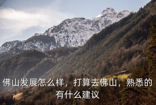 佛山it行業(yè)發(fā)展的怎么樣,佛山這幾年的就業(yè)前景怎么樣