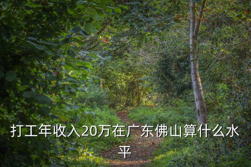 打工年收入20萬在廣東佛山算什么水平