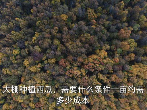 大棚種植西瓜，需要什么條件一畝約需多少成本