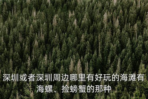 深圳或者深圳周邊哪里有好玩的海灘有海螺、撿螃蟹的那種