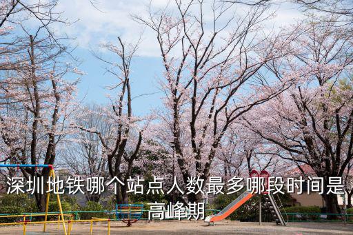 深圳一天多少人排隊(duì),深圳地鐵哪個(gè)站點(diǎn)人數(shù)最多