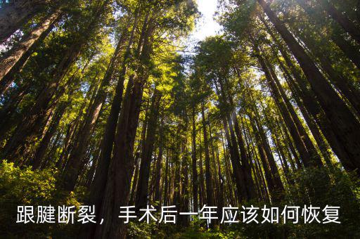 跟腱斷裂手術后廣州哪里有做康復,手術后多長時間能恢復