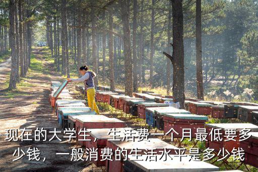 浙江大學(xué)生生活費最低多少,現(xiàn)在的大學(xué)生