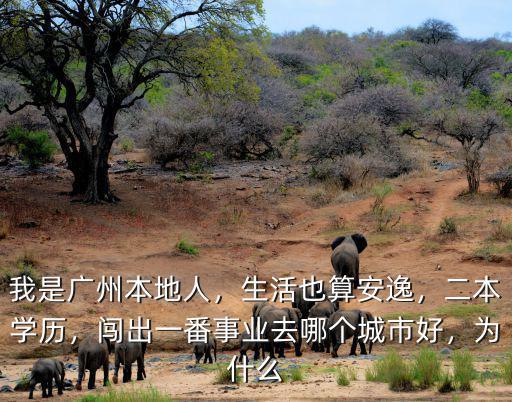 廣州本地人生活在哪里,廣州的富人區在哪里