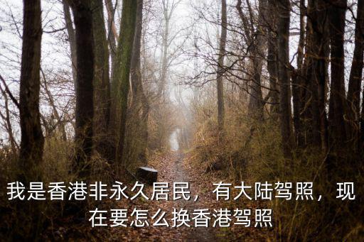 深圳居住香港駕照怎么考,怎樣才能考取香港駕駛證
