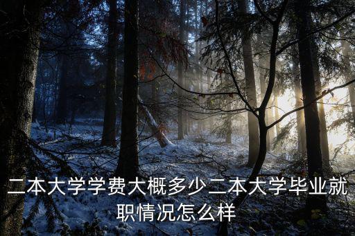 二本大學(xué)學(xué)費(fèi)大概多少二本大學(xué)畢業(yè)就職情況怎么樣
