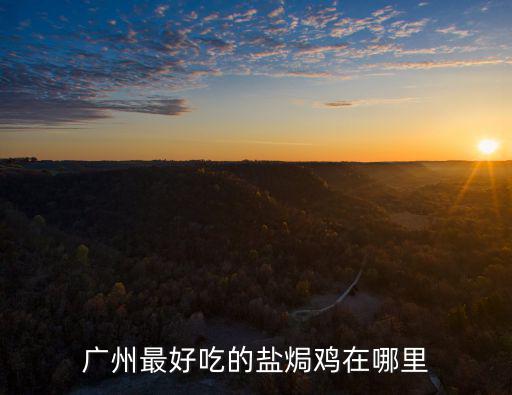 廣州最好吃的鹽焗雞在哪里