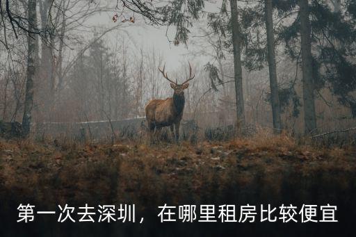第一次去深圳，在哪里租房比較便宜