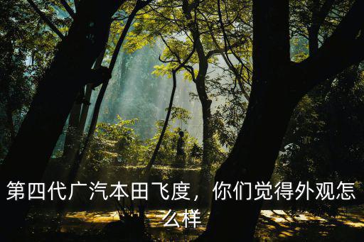廣州本田第四代飛度質量怎么樣,如何評價廣汽本田第四代飛度