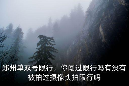 珠海單雙號限行抓拍了多少,超速抓拍原理