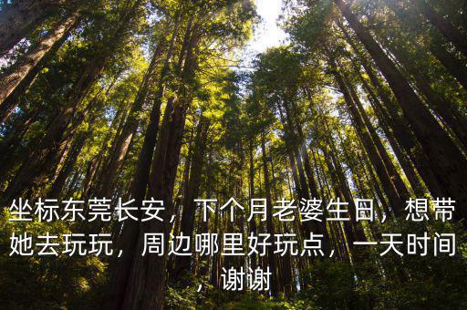 坐標東莞長安，下個月老婆生日，想帶她去玩玩，周邊哪里好玩點，一天時間，謝謝