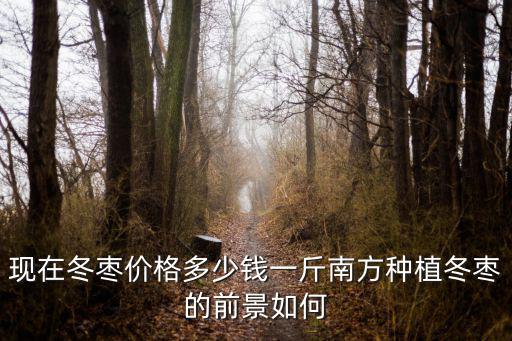 濱州冬棗批發多少錢一斤,南方種植冬棗的前景如何