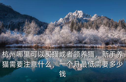 杭州賽比安要交多少錢,一個月最低需要多少錢