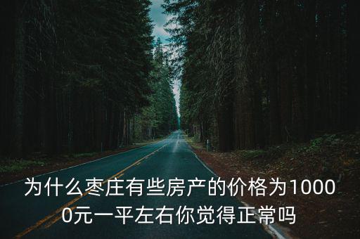 為什么棗莊有些房產的價格為10000元一平左右你覺得正常嗎