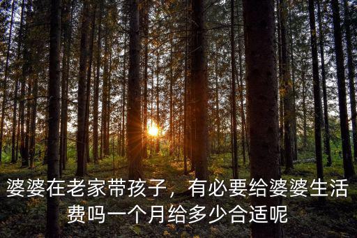 湖州每個月給婆婆多少,婆婆給帶孩子