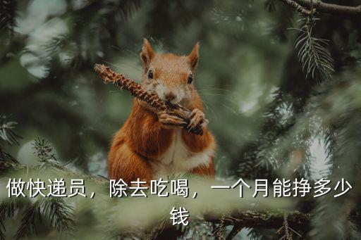 做快遞員，除去吃喝，一個月能掙多少錢