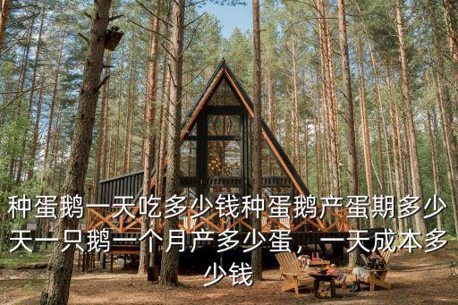 種蛋鵝一天吃多少錢種蛋鵝產(chǎn)蛋期多少天一只鵝一個月產(chǎn)多少蛋，一天成本多少錢