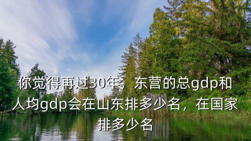 東營在全國城市排多少名,山東的經濟總量在全國排第三