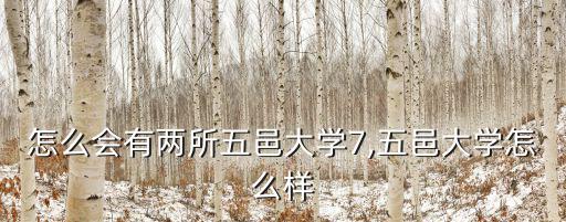 廣東怎么會(huì)有兩所五邑大學(xué)7,五邑大學(xué)怎么樣