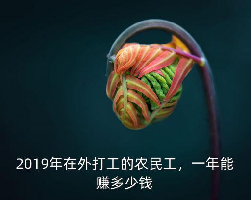 2019年在外打工的農民工，一年能賺多少錢