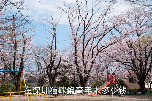 貓絕育在深圳要多少錢,公貓絕育多少錢