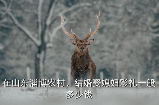 在山東淄博農(nóng)村，結(jié)婚娶媳婦彩禮一般多少錢