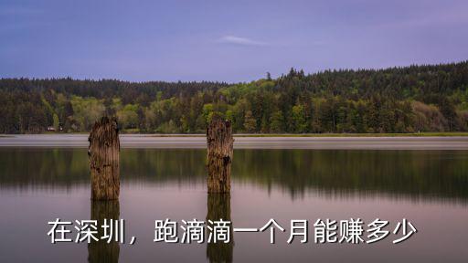 在深圳，跑滴滴一個月能賺多少