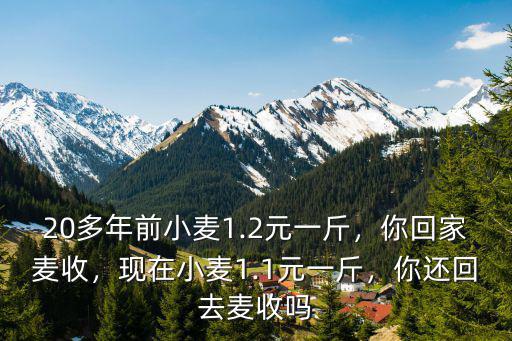 20多年前小麥1.2元一斤，你回家麥收，現在小麥1.1元一斤，你還回去麥收嗎