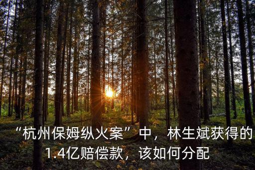 杭州保姆縱火案綠城賠償款多少錢,杭州保姆縱火案中