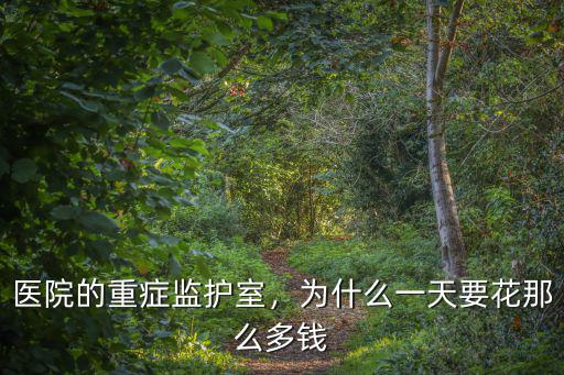 醫院的重癥監護室，為什么一天要花那么多錢