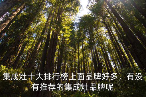 集成灶十大排行榜上面品牌好多，有沒有推薦的集成灶品牌呢