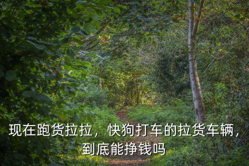 現(xiàn)在跑貨拉拉，快狗打車的拉貨車輛，到底能掙錢嗎