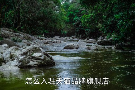 怎么入駐天貓品牌旗艦店