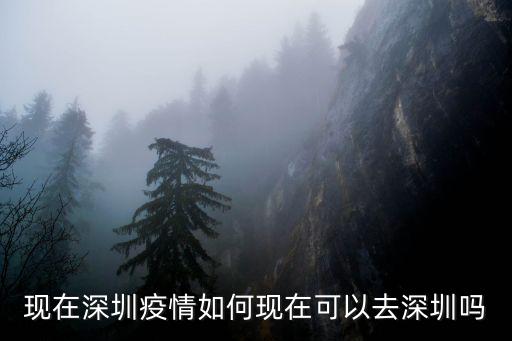 去深圳復工要怎么申報,武漢去深圳復工深圳牌照