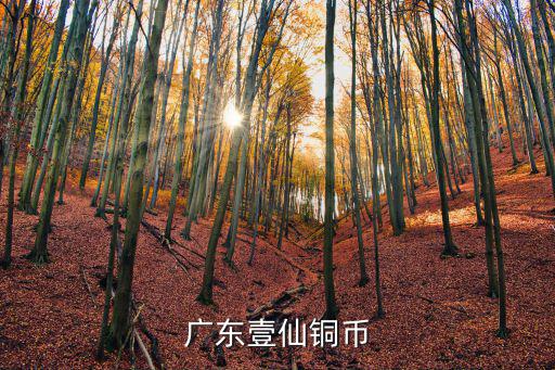 民國元年廣東一仙銅幣存量有多少,廣東造的一仙銅幣價值多少