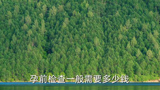 孕前檢查一般需要多少錢