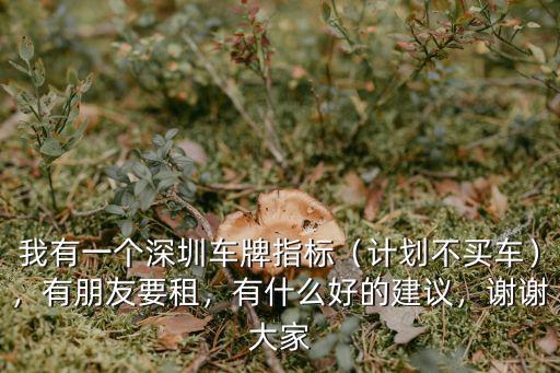 深圳怎么不買車還能保留指標,有深圳上牌指標