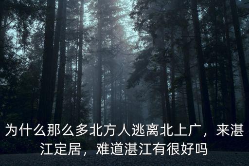 湛江哪里人多了,湛江有錢人很多嗎