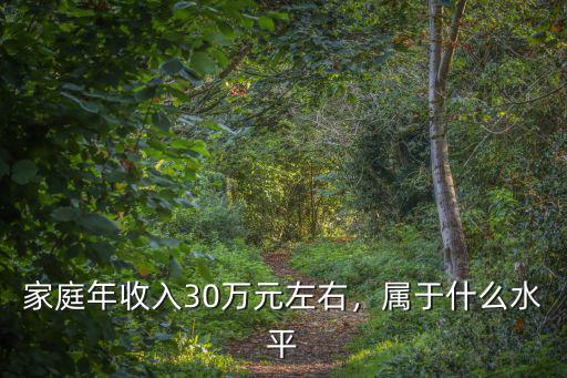 家庭年收入30萬元左右，屬于什么水平