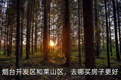 煙臺萊山區(qū)有多少菜市場,你覺得煙臺萊山缺什么