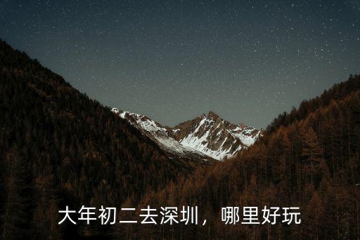 大年初二去深圳，哪里好玩