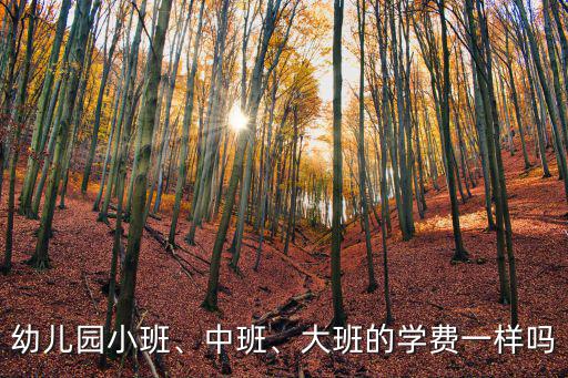 幼兒園小班、中班、大班的學費一樣嗎