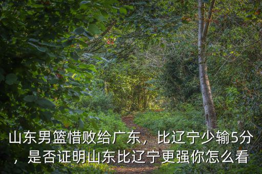 遼寧與山東籃球比賽結(jié)果是多少,是否證明山東比遼寧更強(qiáng)