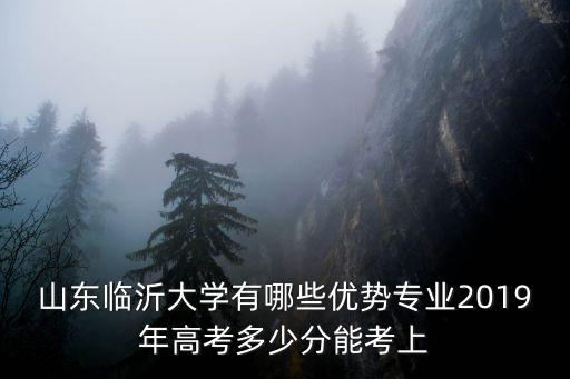 山東臨沂大學有哪些優勢專業2019年高考多少分能考上