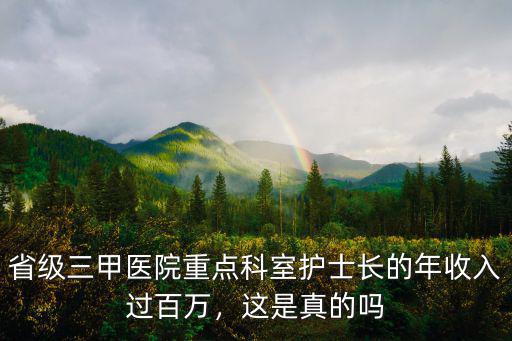 省級三甲醫院重點科室護士長的年收入過百萬，這是真的嗎