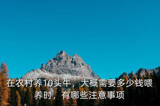 濱州小牛多少錢一斤,買一頭小牛價格多少