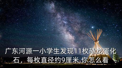 河源怎么這么多恐龍蛋,恐龍蛋化石的價值有多高